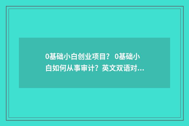 0基础小白创业项目? 0基础小白如何从事审计?英文双语对照