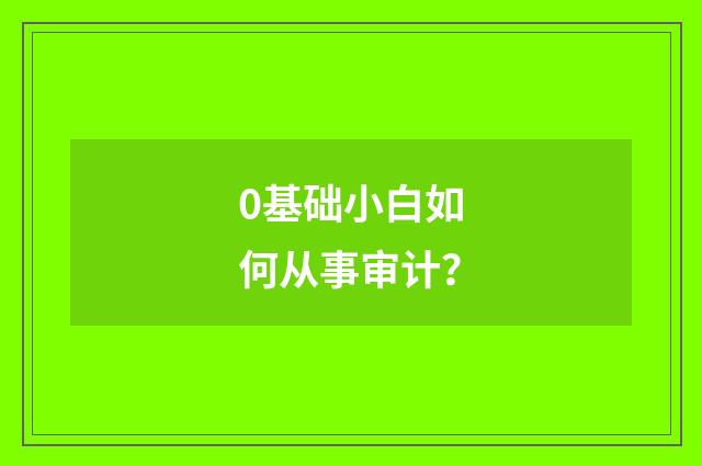 0基础小白如何从事审计？