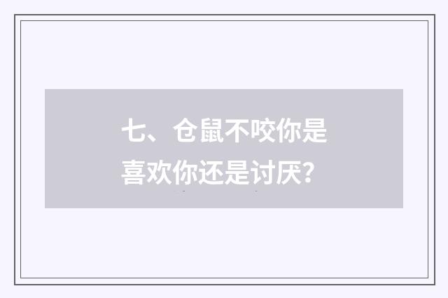 七、仓鼠不咬你是喜欢你还是讨厌？