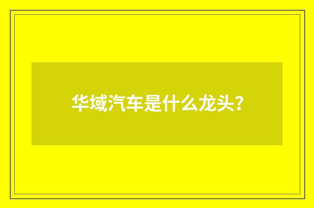华域汽车是什么龙头？