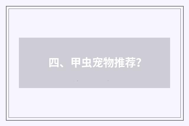 四、甲虫宠物推荐？