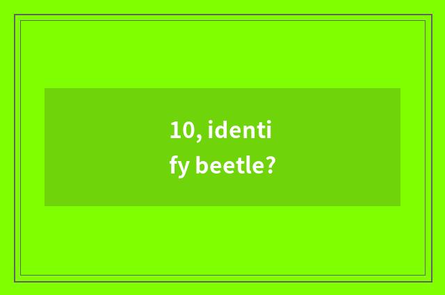 10, identify beetle?