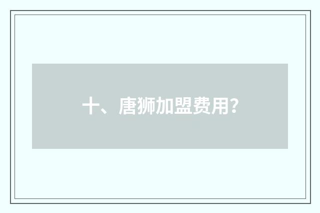 十、唐狮加盟费用？
