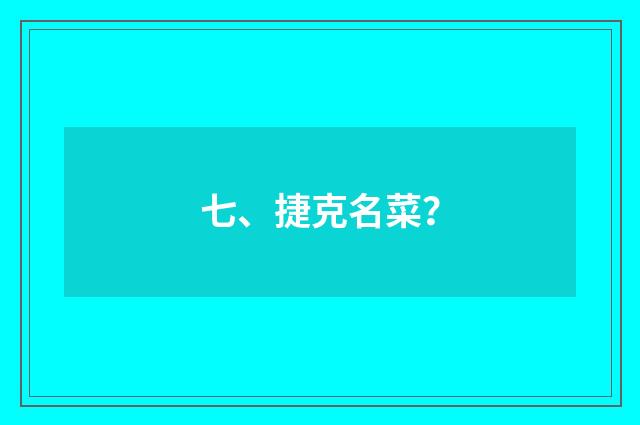 七、捷克名菜？