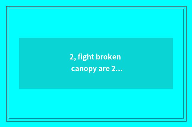 2, fight broken canopy are 2 game interesting?