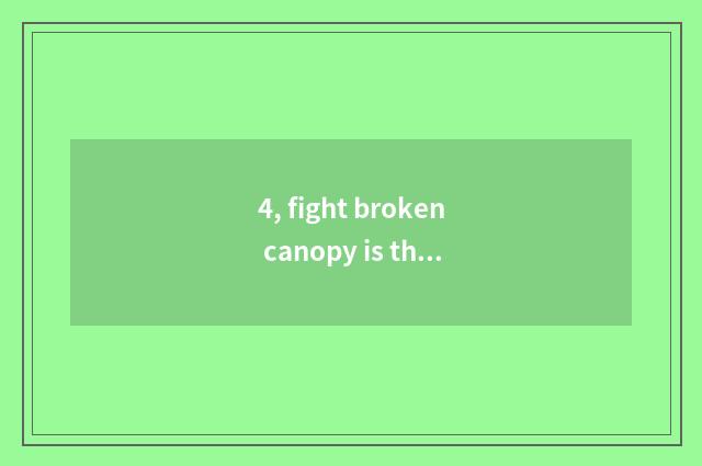 4, fight broken canopy is this what game game?