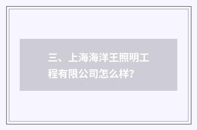 三、上海海洋王照明工程有限公司怎么样？
