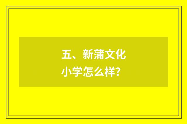 五、新蒲文化小学怎么样？