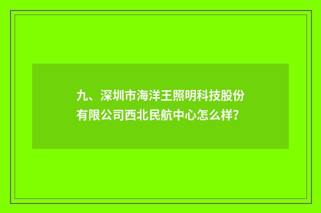 九、深圳市海洋王照明科技股份有限公司西北民航中心怎么样？