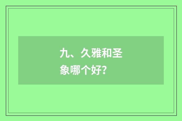 九、久雅和圣象哪个好？