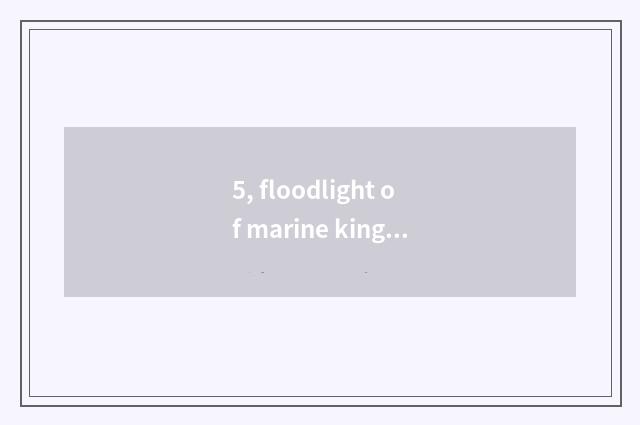 5, floodlight of marine king Led how wiring?
