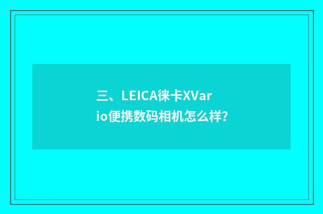 三、LEICA徕卡XVario便携数码相机怎么样?