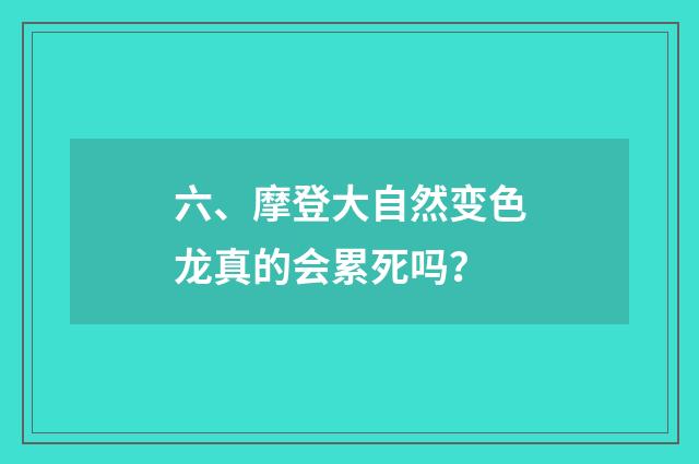 六、摩登大自然变色龙真的会累死吗？