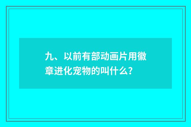 九、以前有部动画片用徽章进化宠物的叫什么？