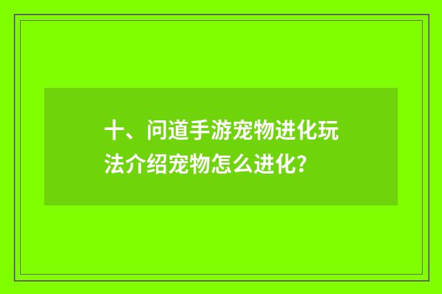 十、问道手游宠物进化玩法介绍宠物怎么进化？