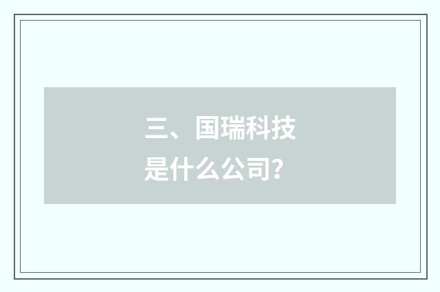 三、国瑞科技是什么公司？