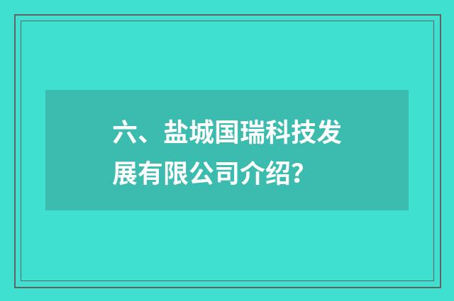 六、盐城国瑞科技发展有限公司介绍？