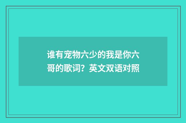 谁有宠物六少的我是你六哥的歌词？英文双语对照