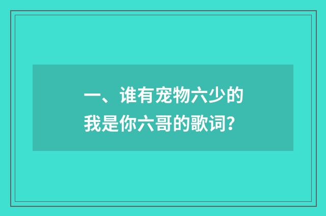 一、谁有宠物六少的我是你六哥的歌词？