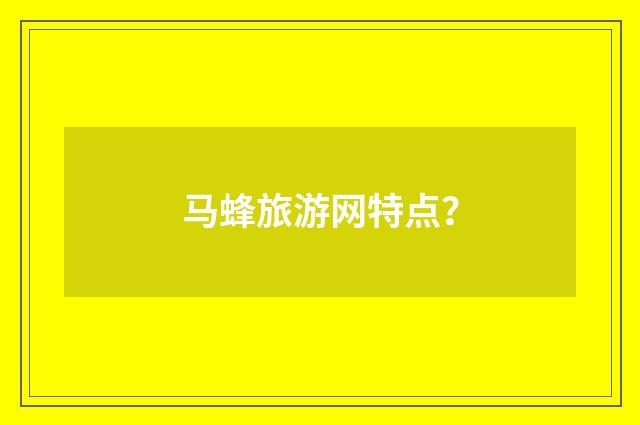 马蜂旅游网特点？