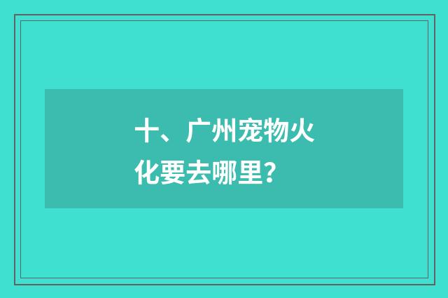 十、广州宠物火化要去哪里？