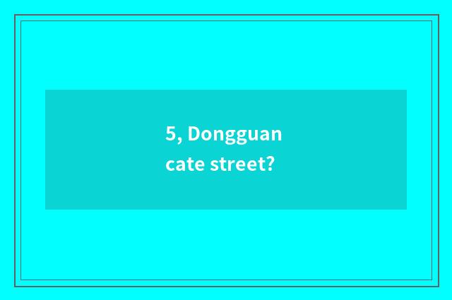 5, Dongguan cate street?