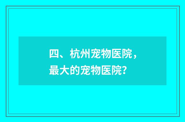 四、杭州宠物医院，最大的宠物医院？