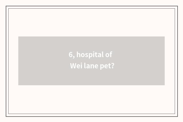 6, hospital of Wei lane pet?