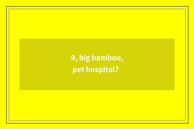 9, big bamboo, pet hospital?