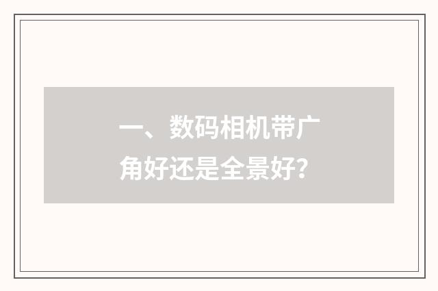 一、数码相机带广角好还是全景好？