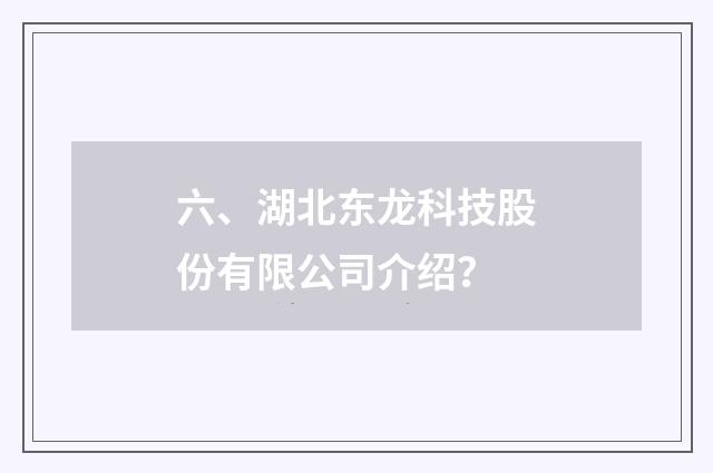 六、湖北东龙科技股份有限公司介绍？