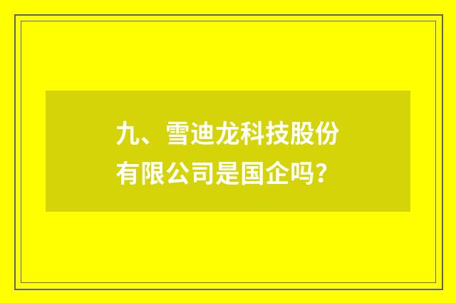 九、雪迪龙科技股份有限公司是国企吗？