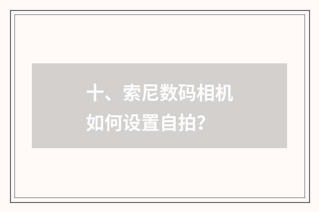 十、索尼数码相机如何设置自拍？