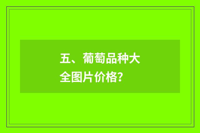 五、葡萄品种大全图片价格？