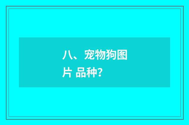 八、宠物狗图片 品种？
