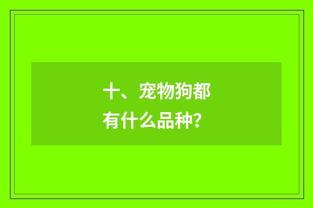 十、宠物狗都有什么品种？