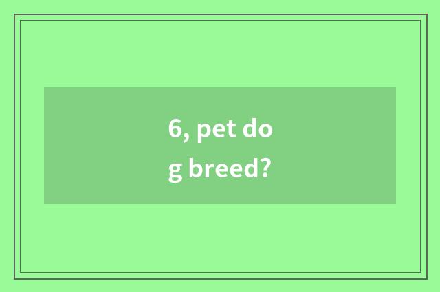 6, pet dog breed?