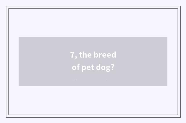 7, the breed of pet dog?