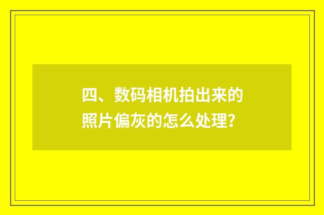 四、数码相机拍出来的照片偏灰的怎么处理？