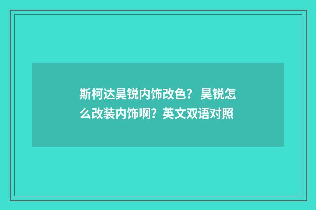 斯柯达昊锐内饰改色？ 昊锐怎么改装内饰啊？英文双语对照