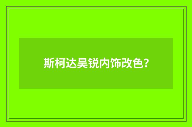 斯柯达昊锐内饰改色？