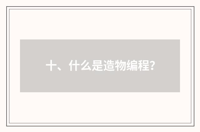 十、什么是造物编程？
