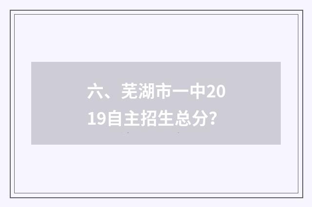 六、芜湖市一中2019自主招生总分？