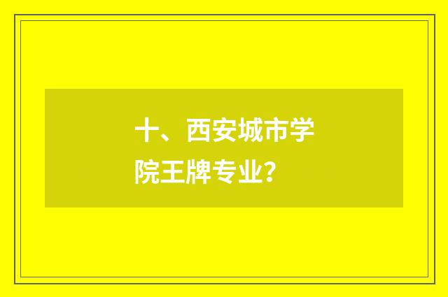 十、西安城市学院王牌专业？