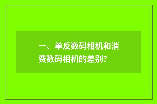 一、单反数码相机和消费数码相机的差别？