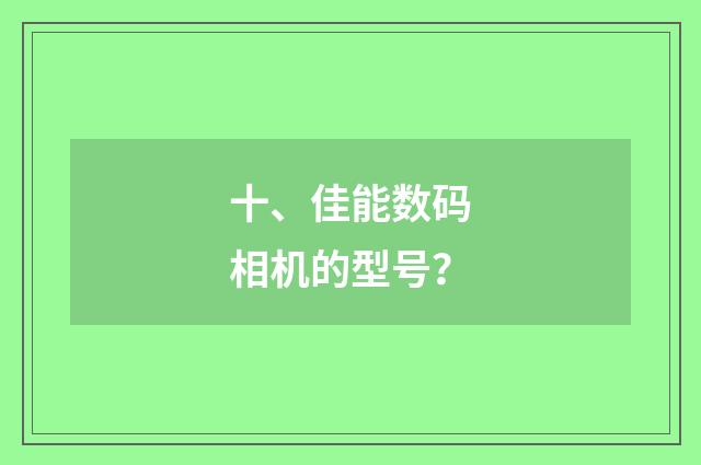十、佳能数码相机的型号？
