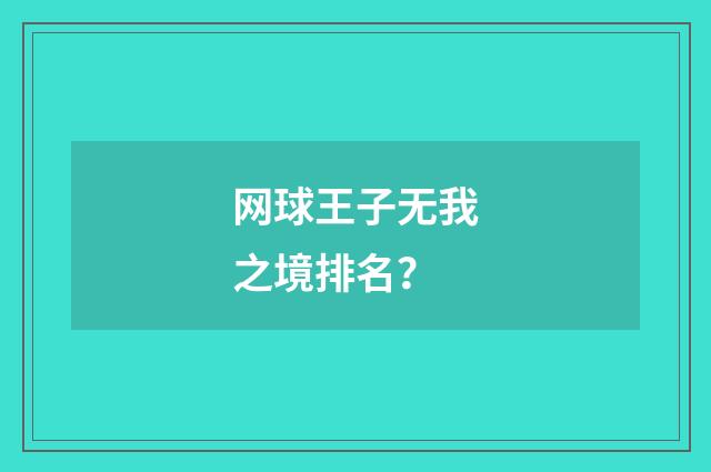 网球王子无我之境排名？