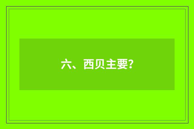 六、西贝主要？