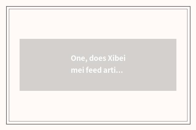 One, does Xibeimei feed artistic school how?