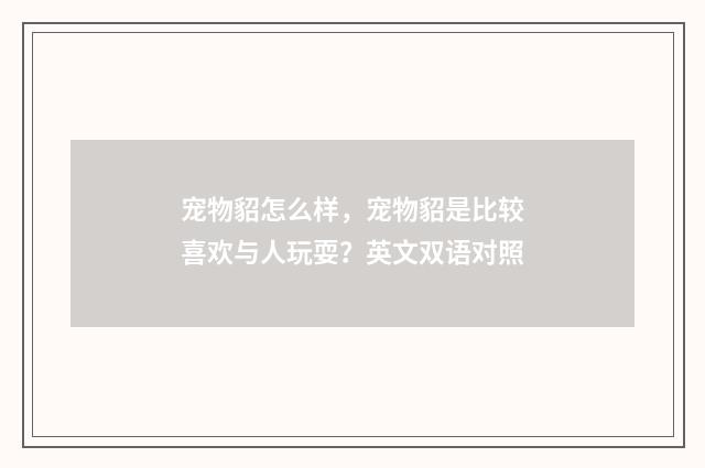 宠物貂怎么样，宠物貂是比较喜欢与人玩耍？英文双语对照